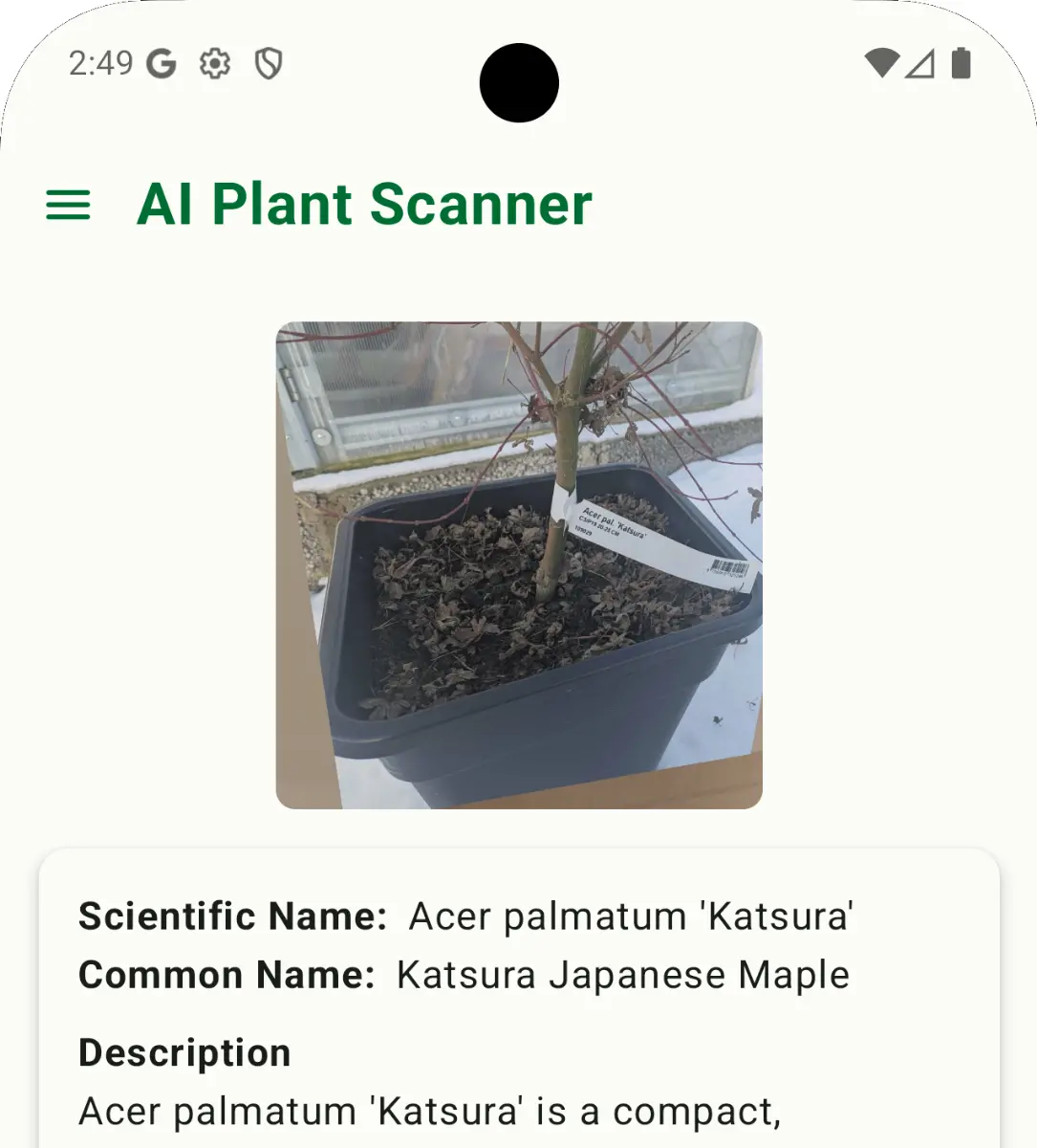 New AI Support for Choosing the Right Bonsai Material