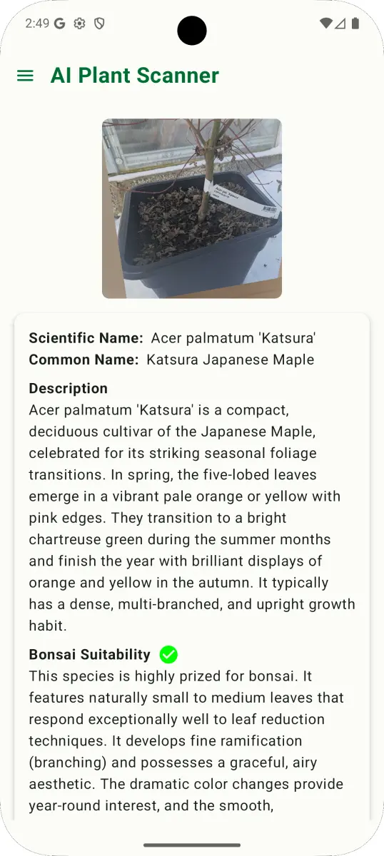 Screenshot of new AI feature for scanning plant lable.